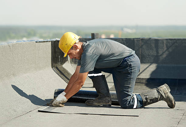 Best Home Insulation Services  in Homosassa, FL